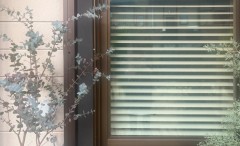 blog_250603_img004