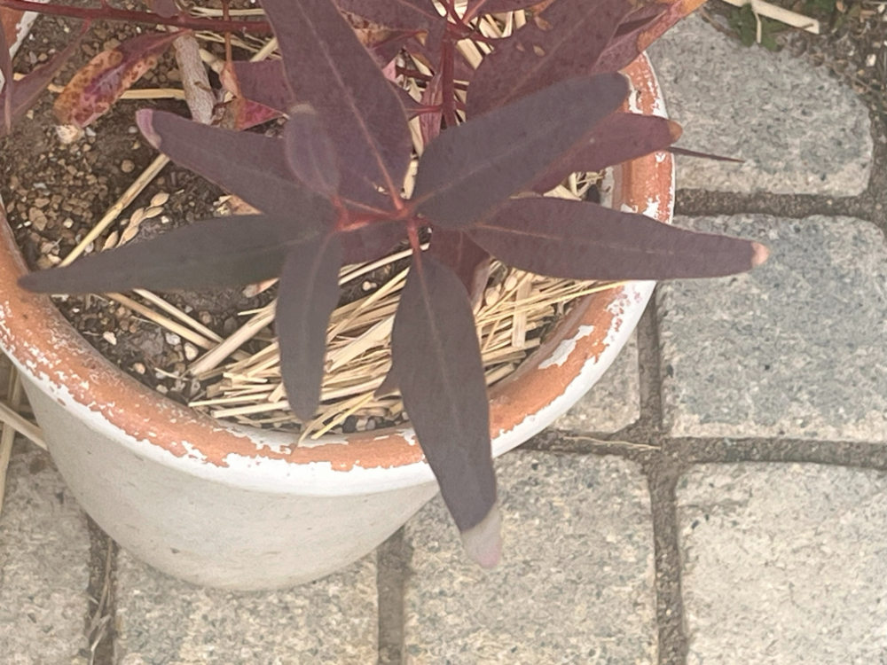 blog_250603_img005