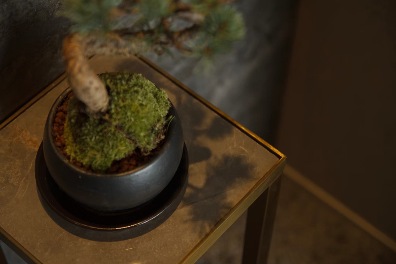 施工事例 M邸|主寝室 インテリア 盆栽