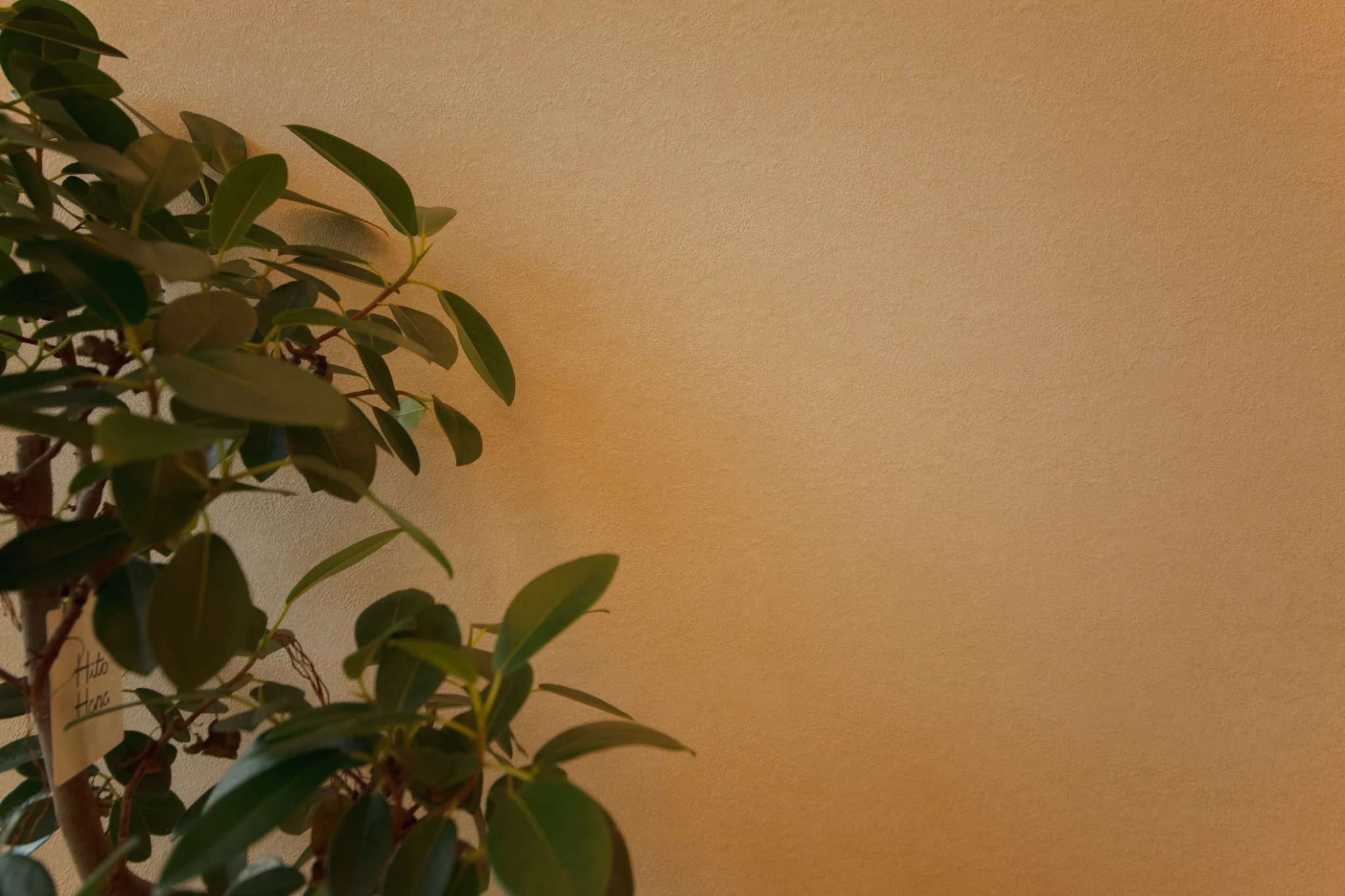 私の住まいができるまで＃2-内覧会でわかった衝撃の事実-