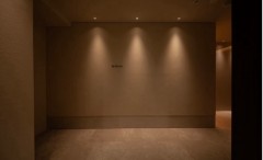 ダウンライト